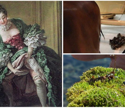 5 motivos por los que te asquearía vivir en el siglo XVIII 5 motivos por los que te asquearía vivir en el siglo XVIII