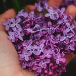 12-consejos-simples-para-FRENAR-la-ANSIEDAD