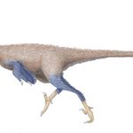 Troodon