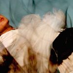 ¿Sabes qué son las 7 edades del alma?