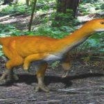 Chilensaurus