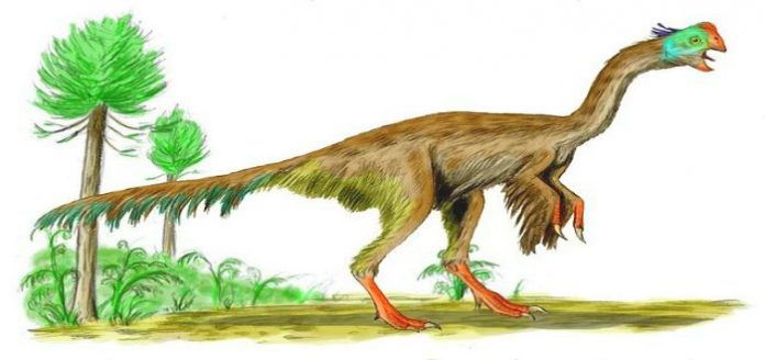 Dinosaurios Dinosaurios