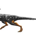 Guanlong