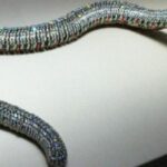 Joyas más famosas, El Collar Serpiente