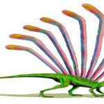 Longisquama