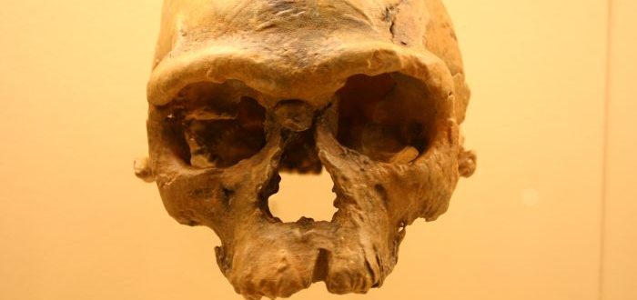 Los sorprendentes huesos de homo sapiens más antiguos jamás hallados