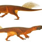Psittacosaurus