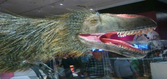 10 tipos de dinosaurios que no te enseñaron en Jurassic Park 10 tipos de dinosaurios que no te enseñaron en Jurassic Park