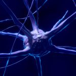 ¿Qué le ocurre al cerebro con la privación del sueño? Este hallazgo es ALARMANTE