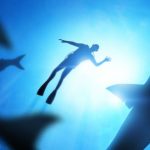 buceador, mitos sobre los tiburones