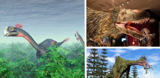 10 tipos de dinosaurio que NO te enseñaron en Jurassic Park 10 tipos de dinosaurio que NO te enseñaron en Jurassic Park