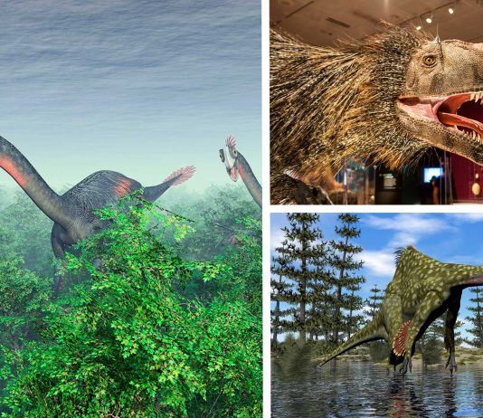 10 tipos de dinosaurio que NO te enseñaron en Jurassic Park