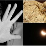Las 10 Fobias más comunes. ¿Padeces alguna?