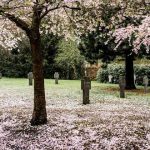 Hitodama, las almas de los recién fallecidos en Japón, pura LUZ