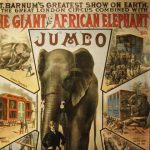 Jumbo, el gigantesco elefante que inspiró a Disney para Dumbo