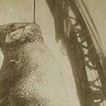 El cruel ahorcamiento de Mary la elefanta