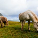países más seguros para viajar, islandia