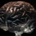 Según los científicos a mayor tamaño de pupila mayor inteligencia