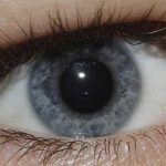 Según los científicos a mayor tamaño de pupila mayor inteligencia