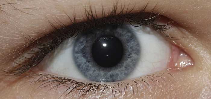 Según los científicos a mayor tamaño de pupila mayor inteligencia