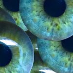 Según los científicos a mayor tamaño de pupila mayor inteligencia