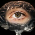 Según los científicos a mayor tamaño de pupila mayor inteligencia