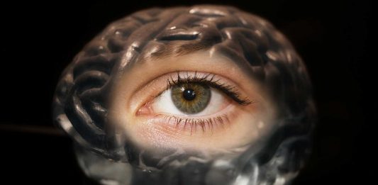 Según los científicos a mayor tamaño de pupila mayor inteligencia Según los científicos a mayor tamaño de pupila mayor inteligencia