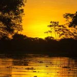 río amazonas, piraha
