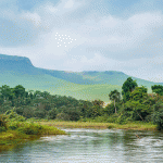 6 Curiosidades de Congo que no dejarán indiferente