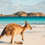 9 curiosidades de Australia que no te dejarán indiferente 2