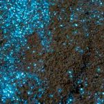 Curiosidades de Colombia 7