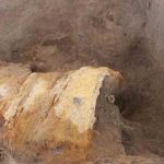 El valeroso caballero encontrado en la Pompeya de Japón