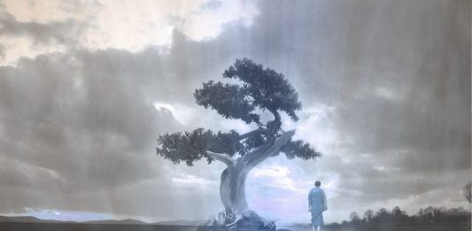 Carol Bowman: La terapeuta intentando demostrar que hay vidas pasadas