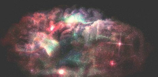 La neurona que podría explicar el origen de la conciencia