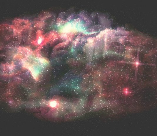 La neurona que podría explicar el origen de la conciencia