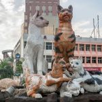 Kuching, la ciudad de los gatos en Malasia