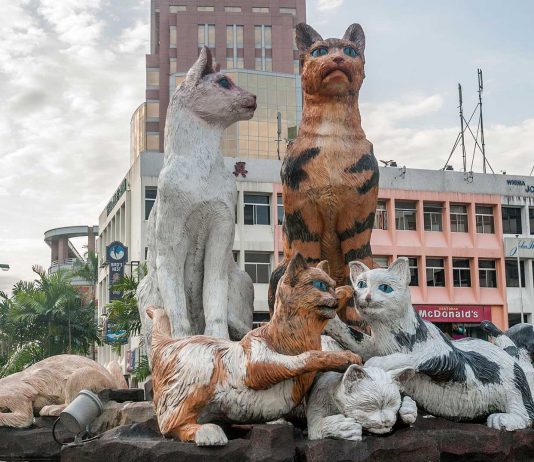 Kuching, la ciudad de los gatos en Malasia