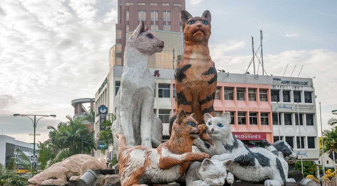 Kuching, la ciudad de los gatos en Malasia