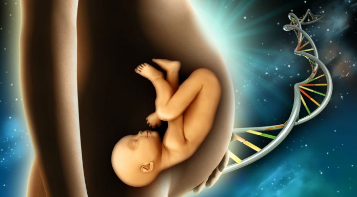 La ciencia confirma tres mitos sobre el embarazo que creíamos falsos (2)