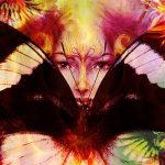 ¿Qué es realmente un «espíritu animal»?