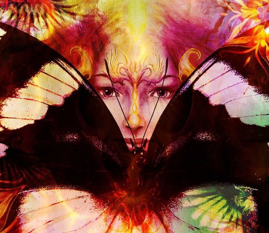 ¿Qué es realmente un «espíritu animal»? ¿Qué es realmente un "espíritu animal"?