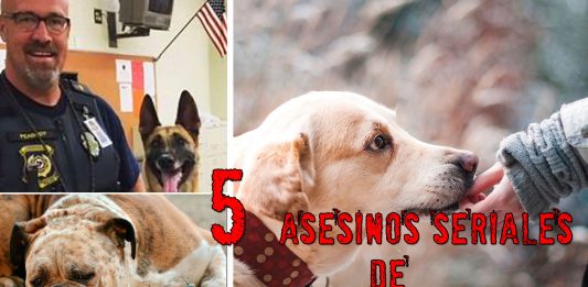 5 horribles asesinos en serie de mascotas