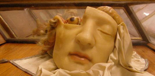 Anna Morandi la dama anatomista del siglo XVIII