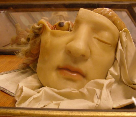 Anna Morandi la dama anatomista del siglo XVIII