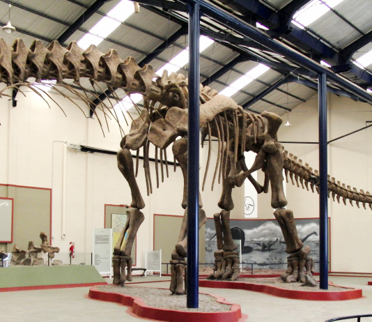 ¿Descubierto el mayor dinosaurio de todos los tiempos? ¿Descubierto el mayor dinosaurio de todos los tiempos?