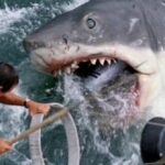 mejores películas clásicas