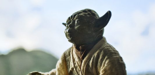 La nueva especie de murciélago que se parece a Yoda