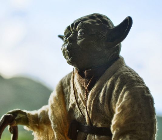 La nueva especie de murciélago que se parece a Yoda