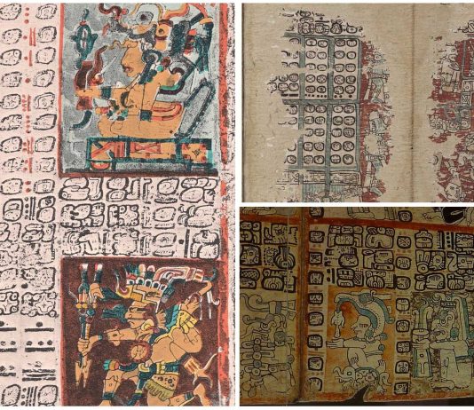3 Increíbles Códices Mayas. ¡Descúbrelos!