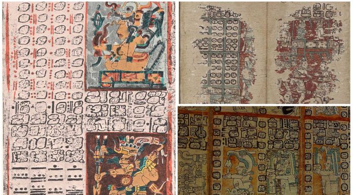 3 Increíbles Códices Mayas. ¡Descúbrelos!